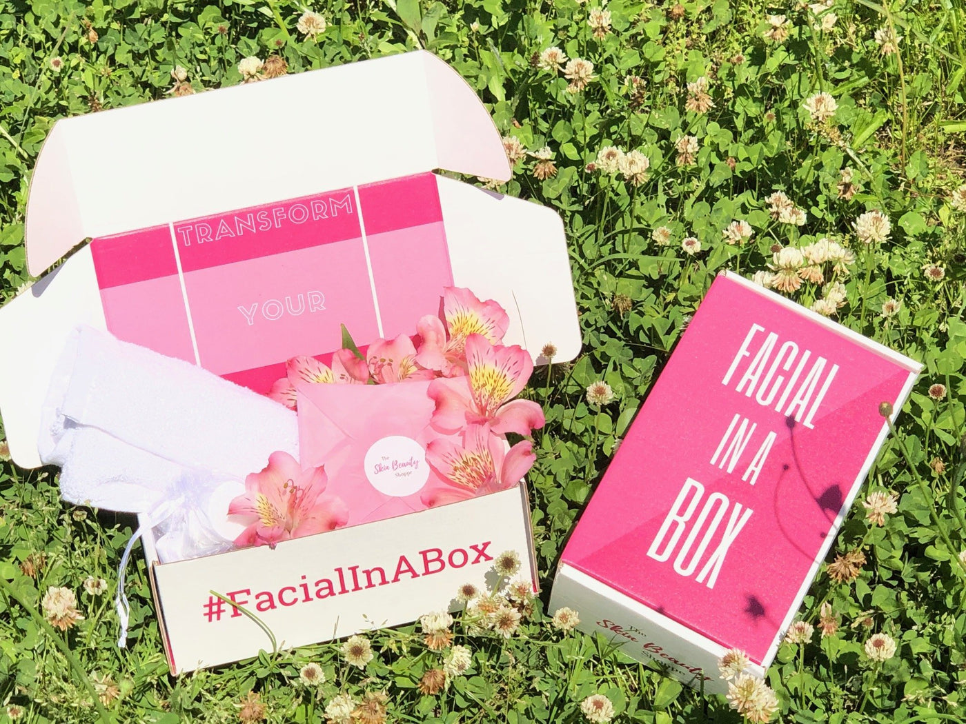 Facial In A Box - The Skin Beauty Shoppe
